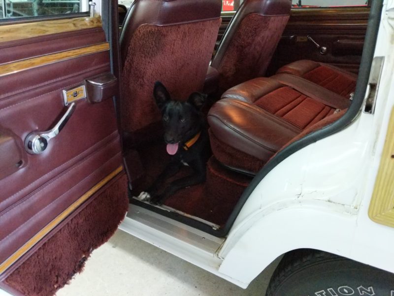 King enjoying the Wagoneer.